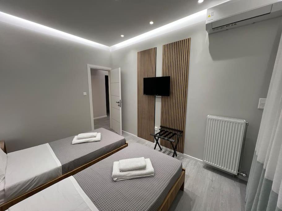 Luxury Apartment Near Acropolis アテネ エクステリア 写真